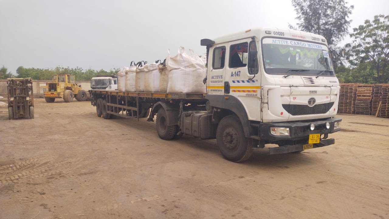 Trucks and forklift at our export yard